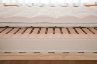 Moosburger Rosshaar-Matratze BIOCEN OH-RS 1/1