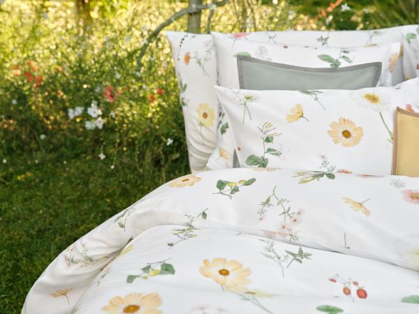 Schlossberg - ZINNIA - Jersey Royal