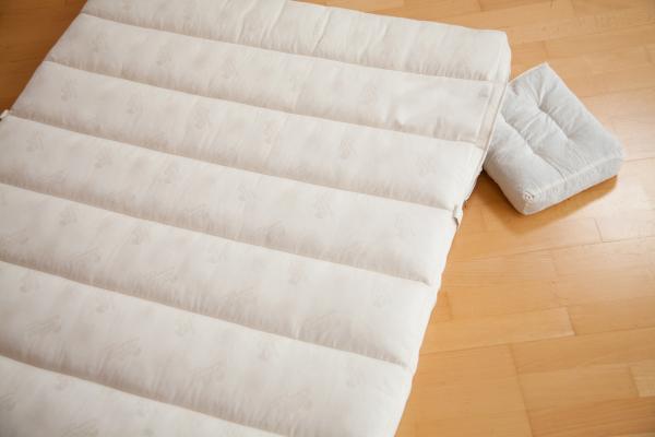 Moosburger Rosshaar-Matratze BIOCEN OH-RS 1/1