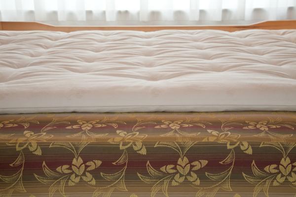 Moosburger Rosshaar-Matratzenauflage MS-RS