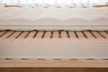 Moosburger Rosshaar-Matratze BIOCEN OH-RS 1/1 